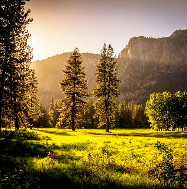 truma-therapy6 Yosemite National Park